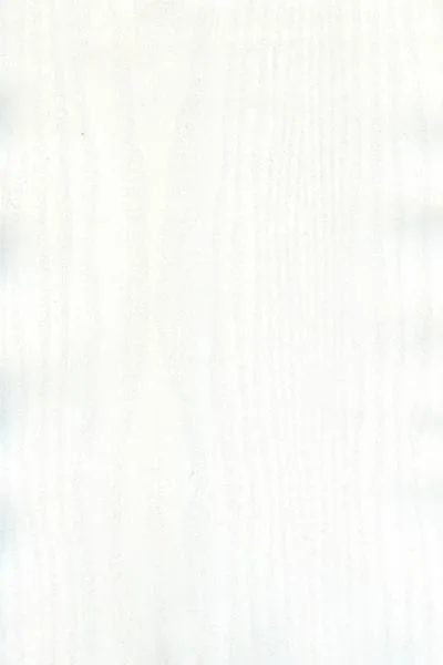 1077-BEYAZ-DİŞBUDAK